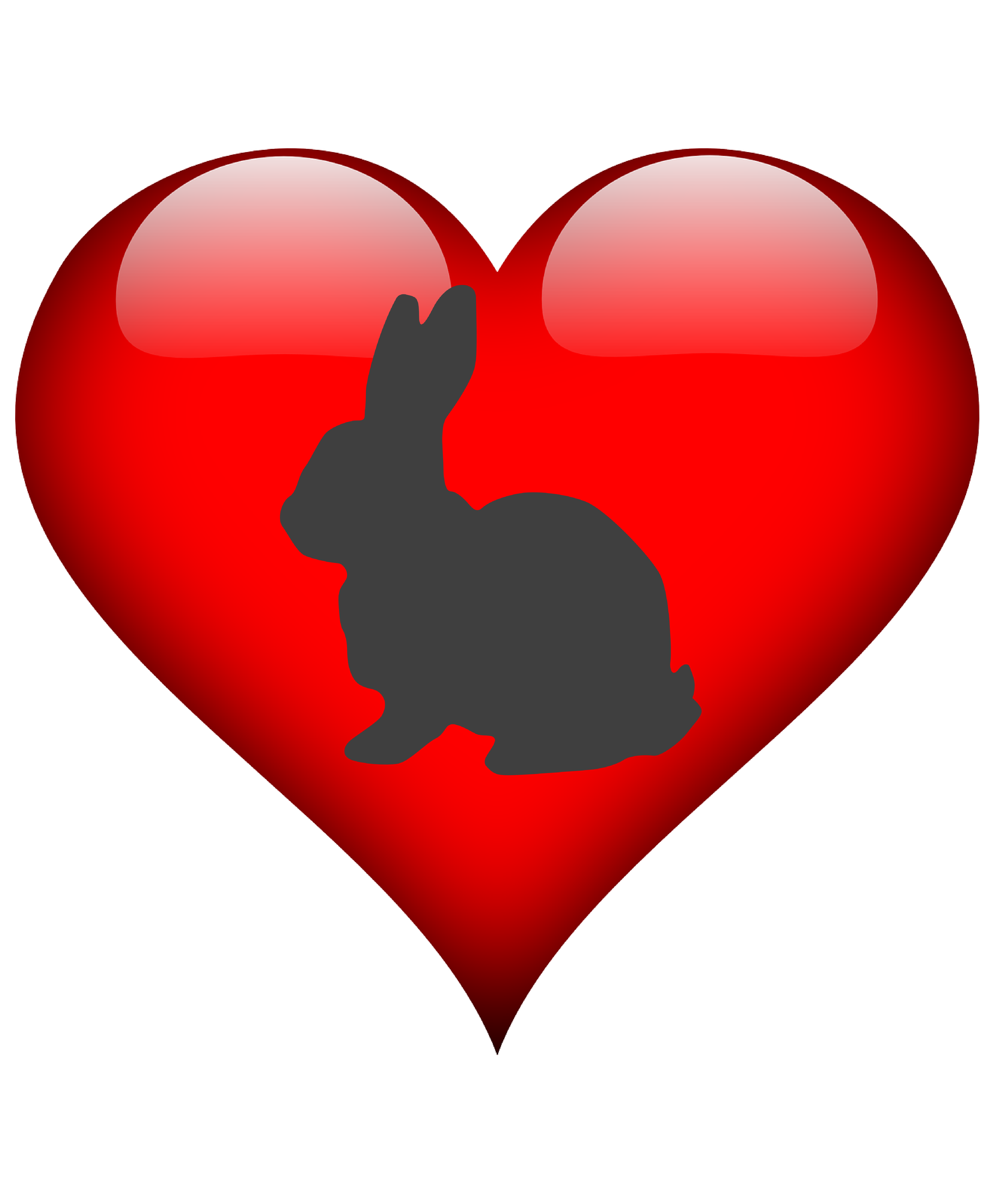 bunny love